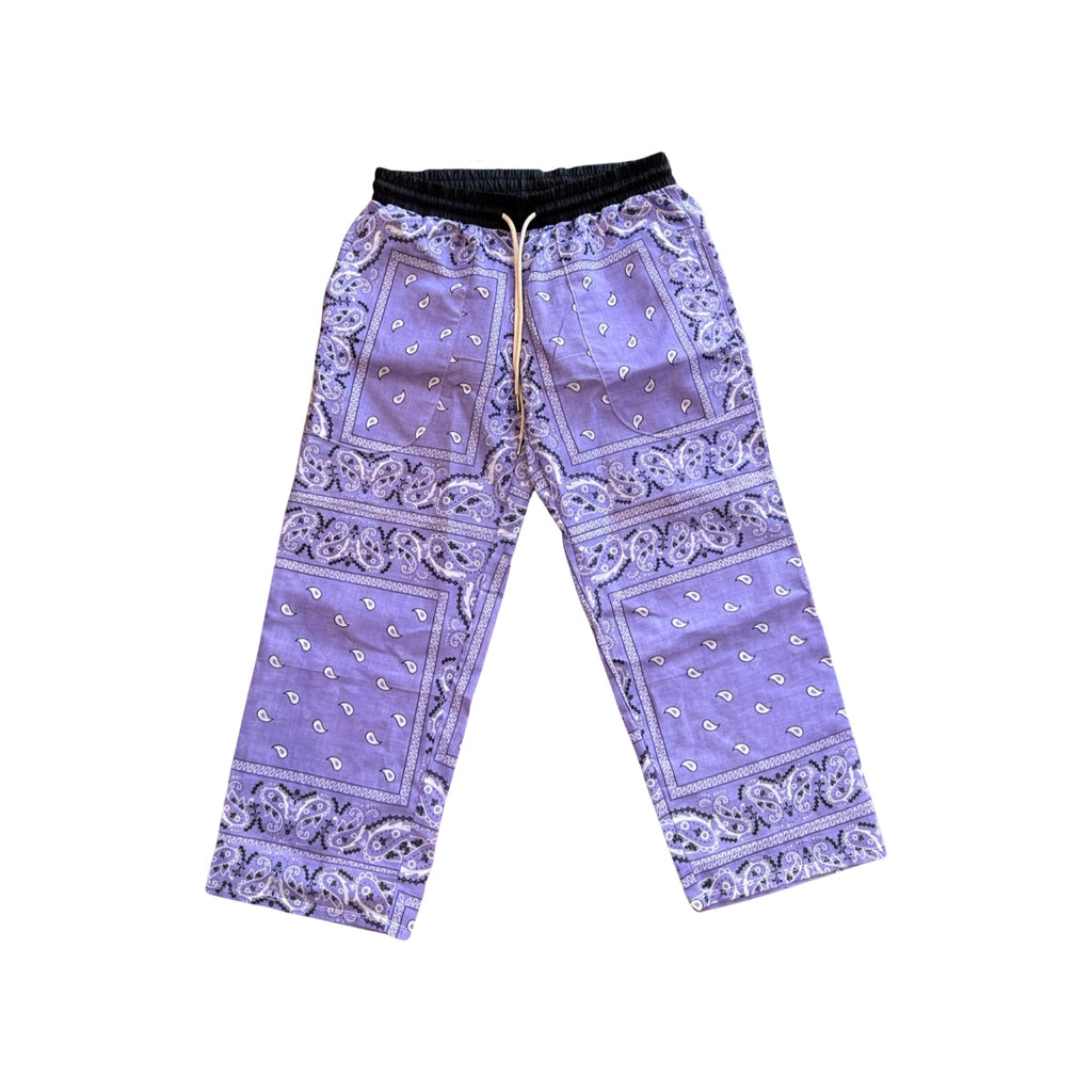 Solid Purple Paisley Pants