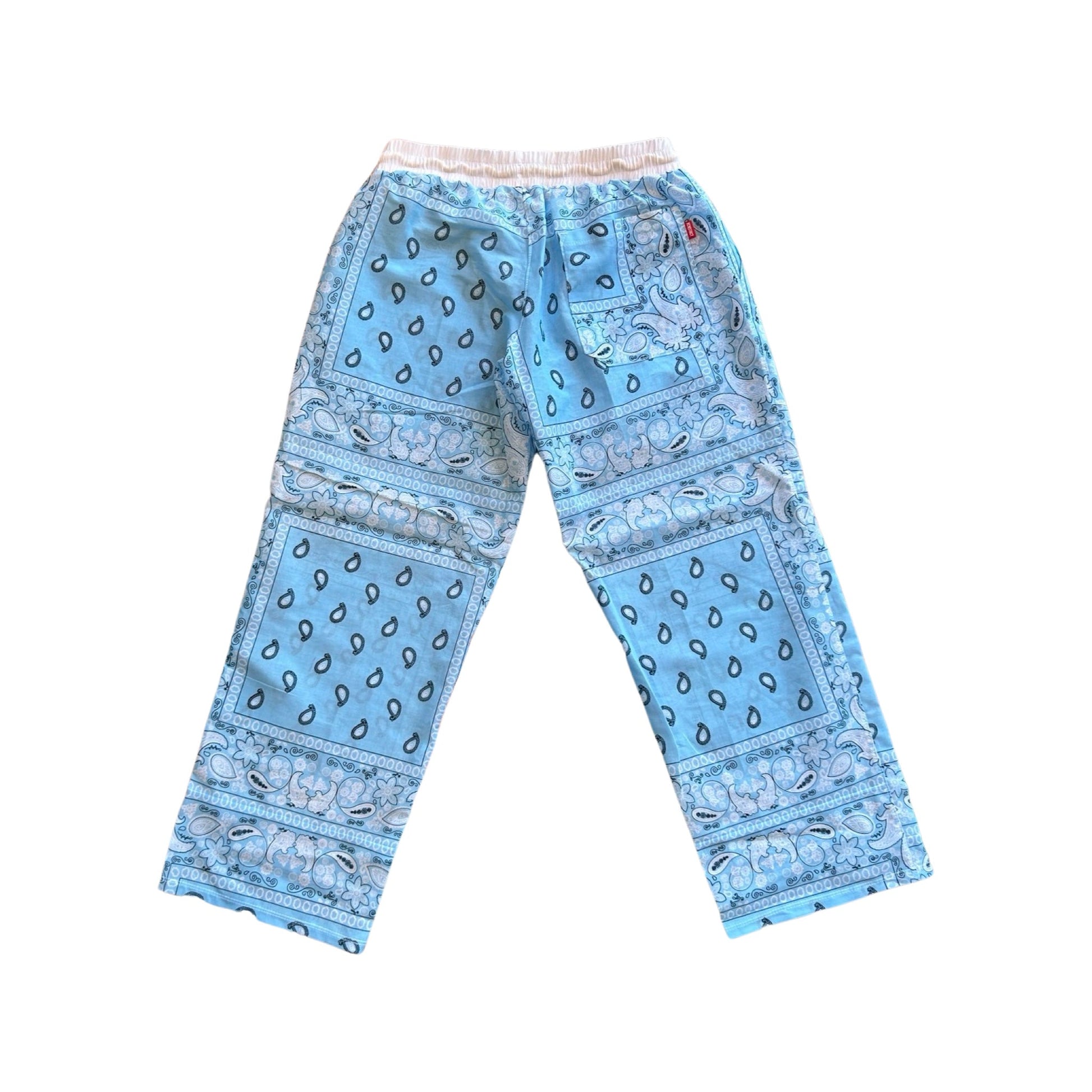 Solid Light Blue Paisley Pants